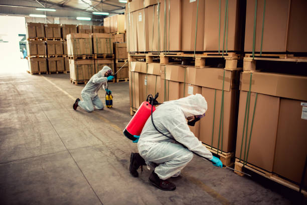 Best Pest Removal Services  in Park Center, CO