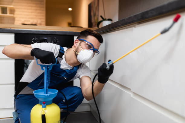 Best Pest Removal Services  in Park Center, CO