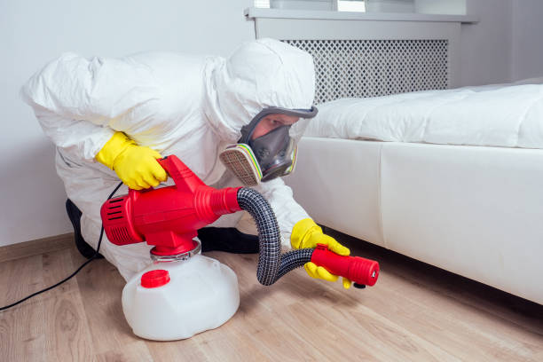 Best Local Pest Control Services  in Park Center, CO
