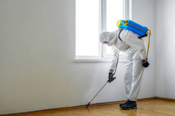 Best Flea Control Services  in Park Center, CO