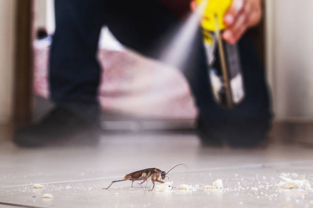 Best Pest Control Near Me  in Park Center, CO