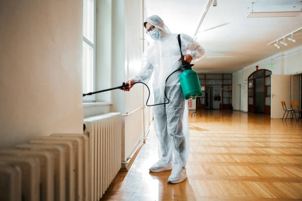 Best Cockroach Control Services  in Park Center, CO
